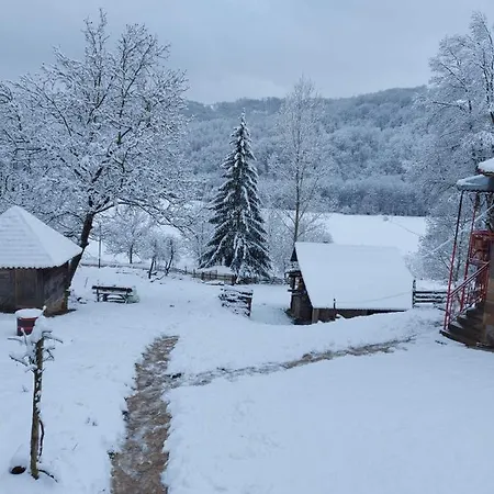 Etno Selo Dedovina Casa vacanze *