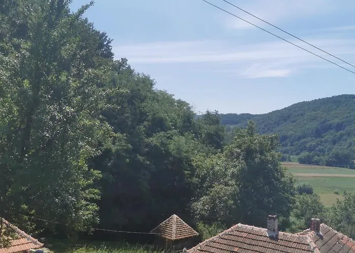 Etno Selo Dedovina בית נופש