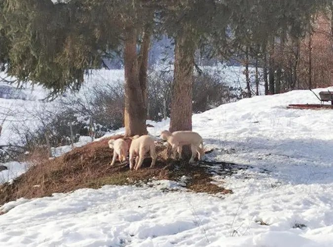 בית נופש Etno Selo Dedovina