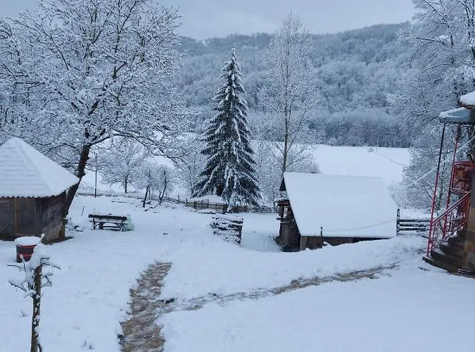 Etno Selo Dedovina בית נופש *