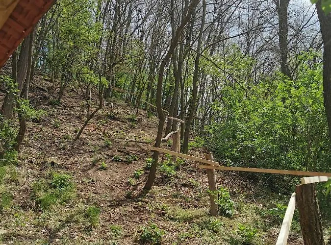 Etno Selo Dedovina בית נופש